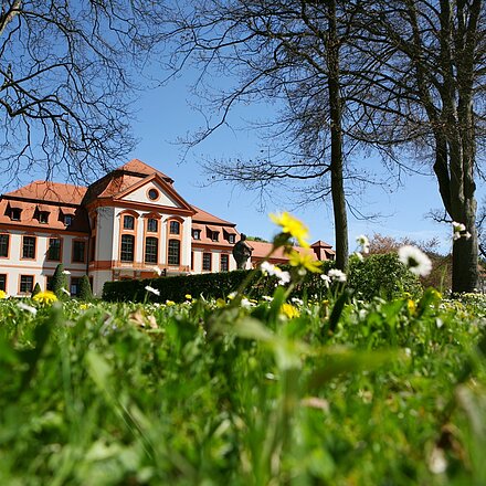 Der Hofgarten im Frühling