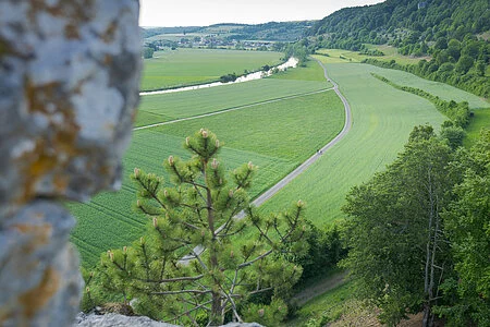 Aussicht vom Burgsteinfelsen Dollstein