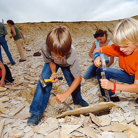 Auf Fossiliensuche im Hobbysteinbruch