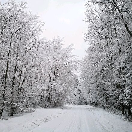 Winterwandern Augustental