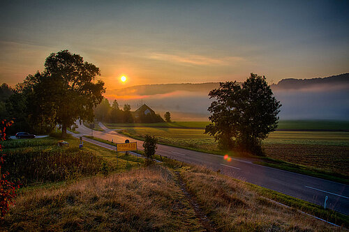 Nebel Landschaft