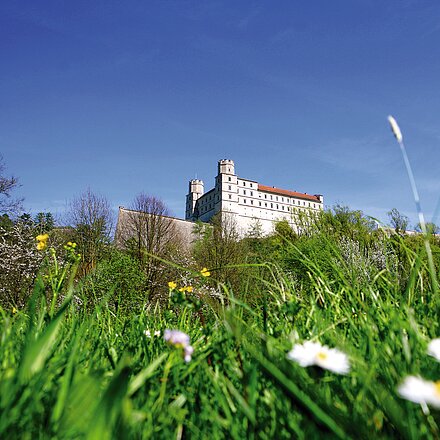 Willibaldsburg im Frühling