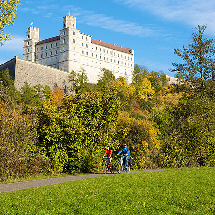 Willibaldsburg Herbst_1