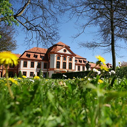 Blick durch den Hofgarten auf die Sommerresidenz