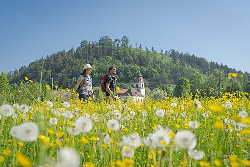 Wallfahrerweg (Altdorf bei Titting)