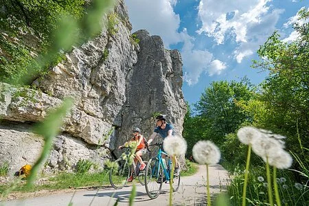 Grüne Blätter und weißer Löwenzahn bilden den Rahmen für zwei Radler auf dem Fahrradweg. Der Mann mit hellblauem Gravelbike und schwarzem Fahrradhelm und dahinter eine Frau mit Damenfahrrad und roten Shirt. Sie trägt ebenfalls einen Helm. Dahinter ragen die Felsen bei Dollnstein hoch. Gesäumt wird der Weg von grünen Bäumen.