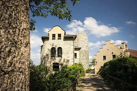 Burgruine Altmannstein