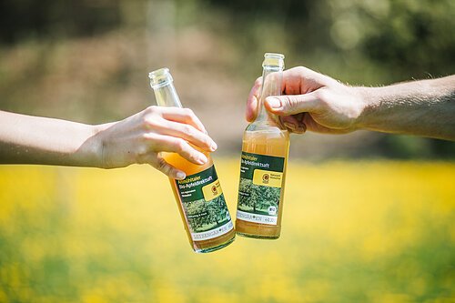 Zwei Personen stoßen mit zwei Altmühltaler Bio-Apfelsaft im Hintergrund die Sonnenstrahlen an.