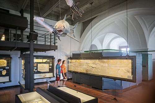 Zwei Personen betrachten Fossilien in einem Museum mit einem Modell eines prähistorischen Fisches an der Decke.