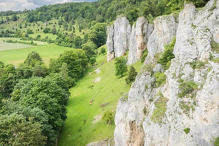 Auf dem Altmühltal-Panoramaweg bei Dollnstein Felsformationen und grüne Landschaft mit Bäumen und Wiesen im Vordergrund.