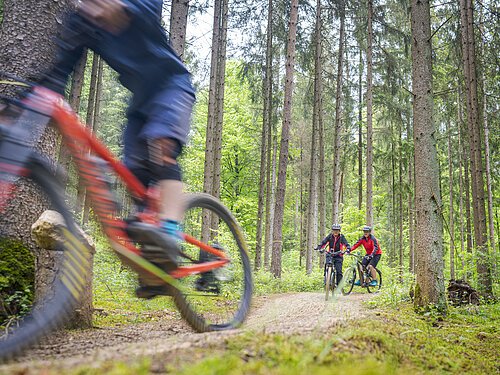 Heumöderntrails in Treuchtlingen Drei Personen fahren mit Mountainbikes auf einem Waldweg. Eine Person ist unscharf im Vordergrund.