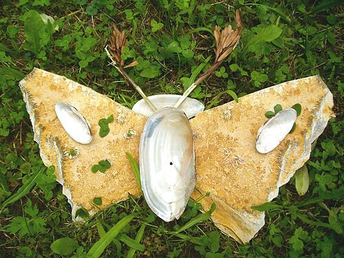 Schmetterlingsform aus Muscheln und Blättern auf grünem Gras liegend.