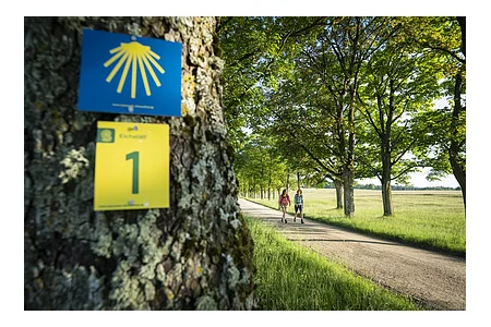 Allee bei Eichstätt