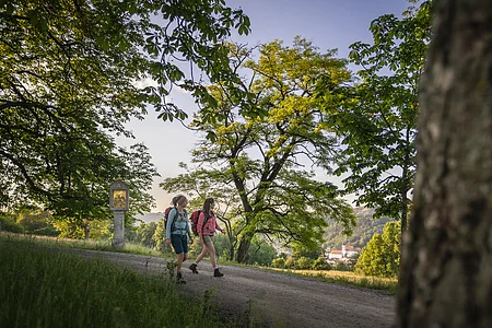 Zwei Wanderinnen mit Rucksäcken unter alten Bäumen, Stamm mit gelbem Schild und Zahl 7 im Vordergrund.