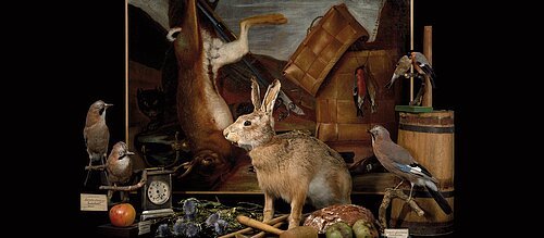 "Hase" aus dem Zyklus "Zum Fressen gern" der Berliner Sammlungsfotografen