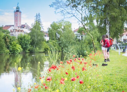 Shooting Naturpark Altmühtlal Juni 2024 Eichstätt